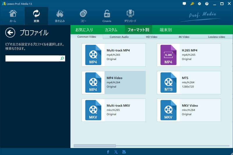 MP4やMKVなど豊富な出力フォーマット一覧画面